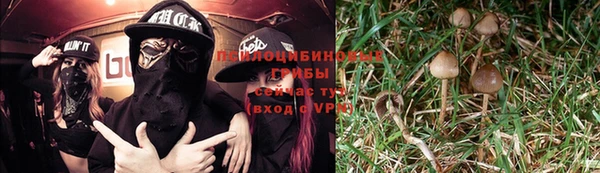 соль курить ск Касимов